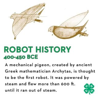 Robots-Mechanical-pigeon