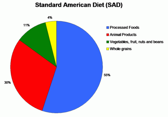 StanAmDiet